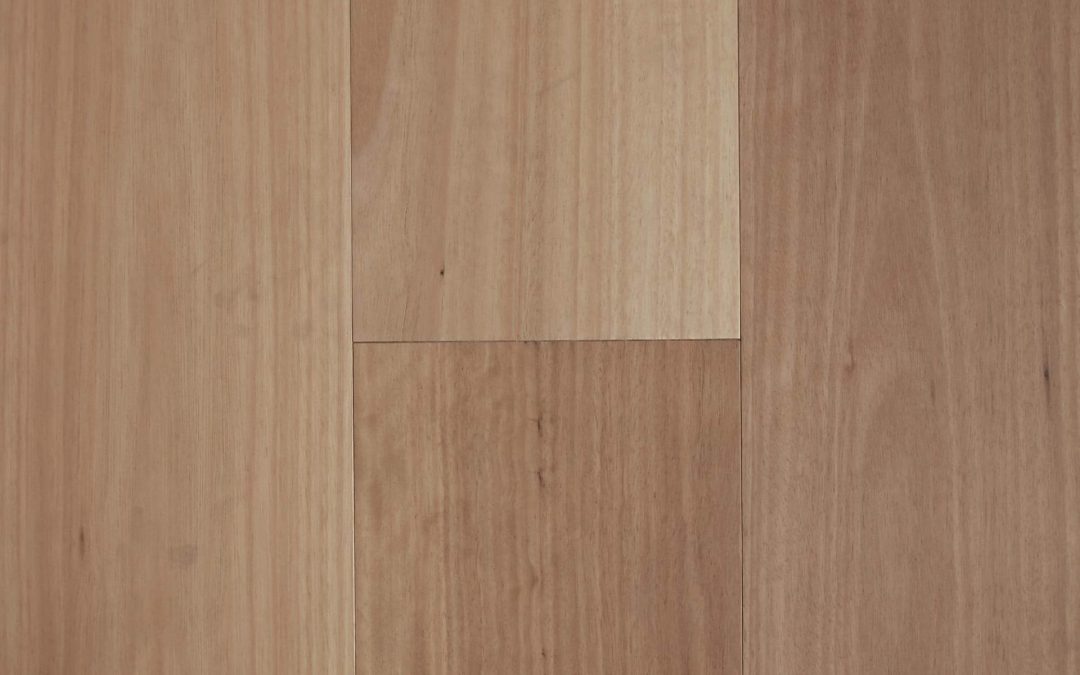 Standard Blackbutt