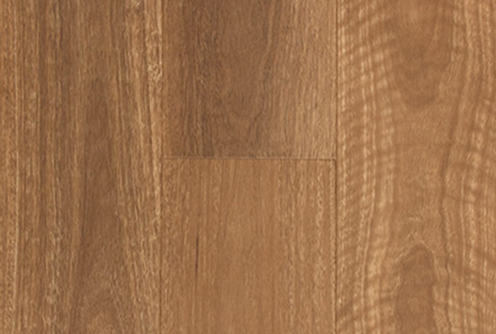 QLD Spotted Gum