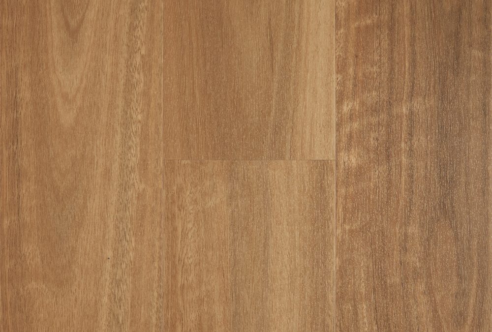 Spotted Gum