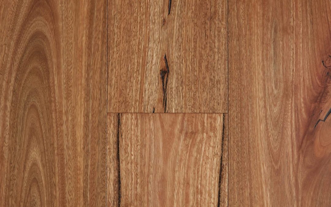 Rustic Spotted Gum
